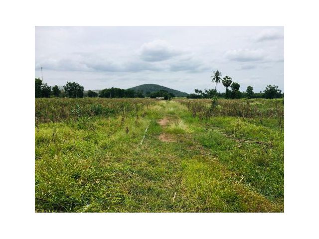 ที่ดินสวยติดวิวเขา Mountain View 20ไร่  ที่สวย ดินดี ต.หน่องโอ่ง อ.อู่ทอง จ.สุพรรณบุรี