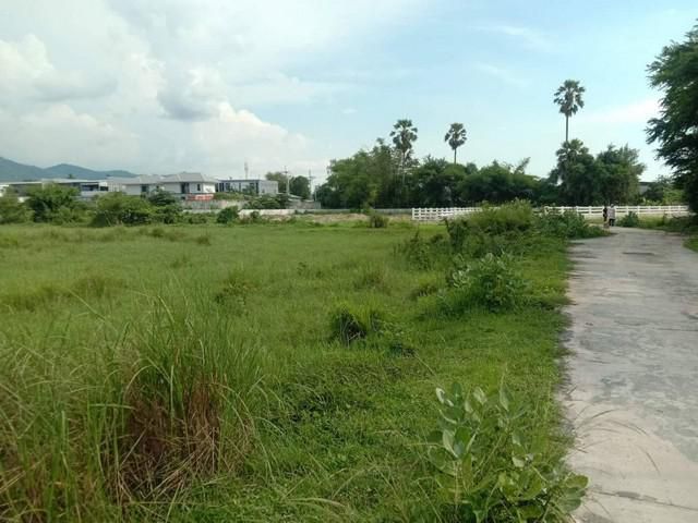 ขายที่ดิน 3 ไร่ เมืองชลบุรี ราคาถูก ไร่ละ 4.5 ล้านบาท ติดถ.คอนกรีต ใกล้สถานีรถไฟชลบุรี - 1 กม.  จ.ชลบุรี