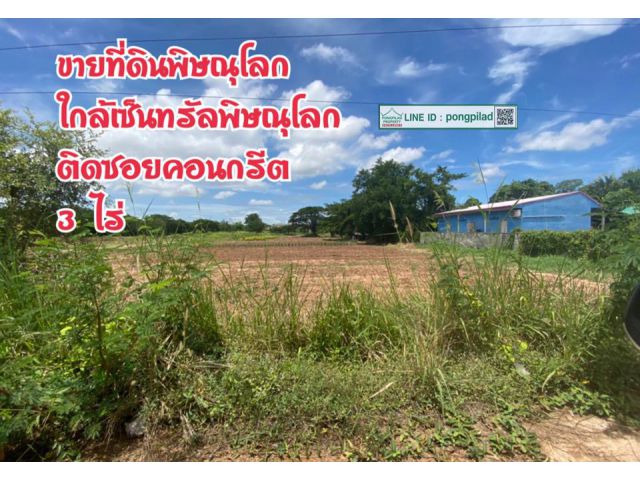 > ขายที่ดินพิษณุโลก ใกล้เซ็นทรัล ใกล้แม่น้ำน่าน ติดซอยคอนกรีต 3 ไร่ ไร่ละ 4 ล้านบาท
