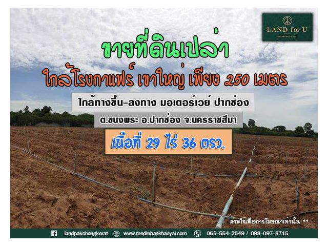ขายที่ดินเขาใหญ่ #ใกล้มอเตอร์เวย์เพียง 3.5 กม.  #ทางสาธารณะประโยชน์รอบที่ดิน #วิวเขา #เขาใหญ่ปากช่อง