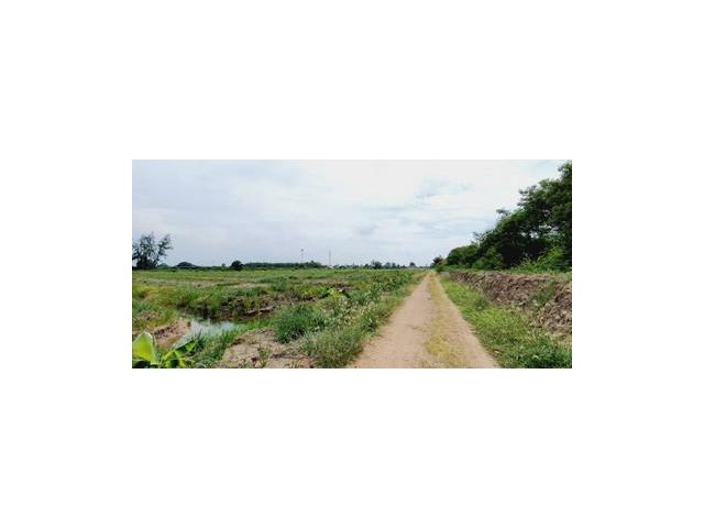 ให้เช่าที่ดินเป็นร่องสวน 40 ไร่ หนองเสือ คลอง9