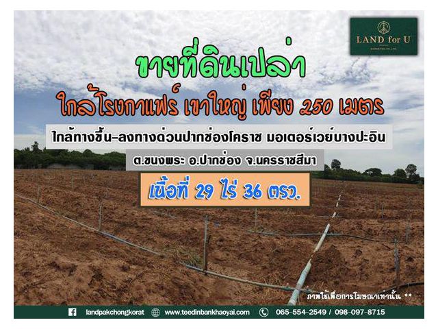 ขายที่ดินเขาใหญ่ #ใกล้มอเตอร์เวย์เพียง 3.5 กม.  #ทางสาธารณะประโยชน์รอบที่ดิน #วิวเขา #เขาใหญ่ปากช่อง