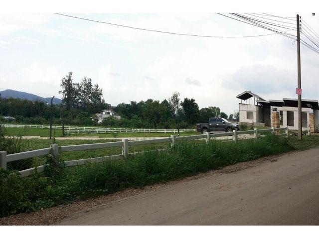 PR260ขายที่ดิน 10 ไร่ 2 งาน 78 ตรว หน้ากว้างติดซอยวัดไทยเดิมผดุงธรรม 200 เมตรซอยวัดไทยเดิมผดุงธรรม แยกจากถนนมิต