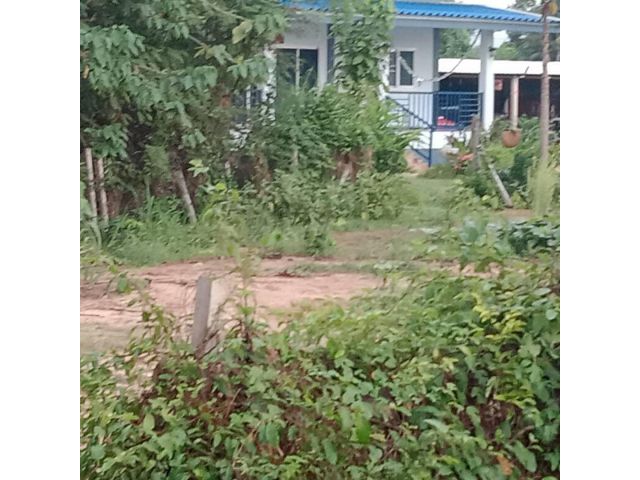 ที่ดินขายถูกแม่ริมเชียงใหม่