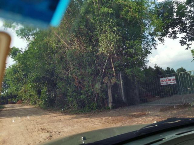 ขายที่ดินพร้อมสวนทุเรียน ซอยบ้านโป่ง ต.ไม้เค็ด  อ.เมือง จ.ปราจีนบุรี