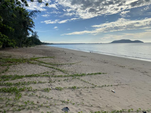 ขายที่ดินติดทะเล บางสะพาน ซอยสวนหลวง ขนาด 1 ไร่ หาดสวนหลวง หาดส่วนตัว  ใกล้The Chala Resort ตำบล : พงศ์ประศาสน์ อำเภอ :