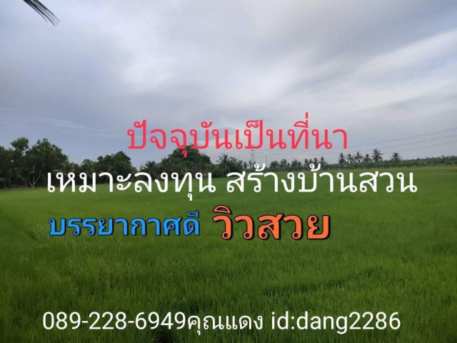 ขายที่ดินราคาถูก 2ไร่ 3งาน 40ตารางวา 3,250บาท/ตร.ว.
