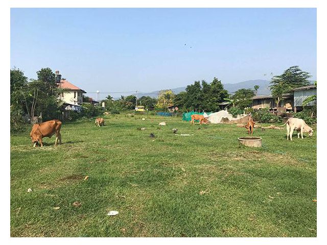 ขายที่ดิน พร้อมเอกสารสิทธฺ์ โฉนด  ที่ดินทำเลสวย ที่ดินมีขนาด  2  ไร่   1 งาน  80  ตรว
