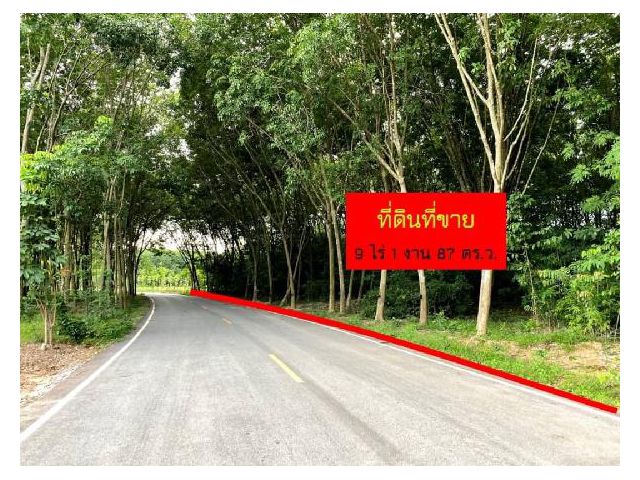 AK180521-01 ที่ดิน 9ไร่ พร้อมสวนยาง หนองตะพาน อ.บ้านค่าย จ.ระยอง