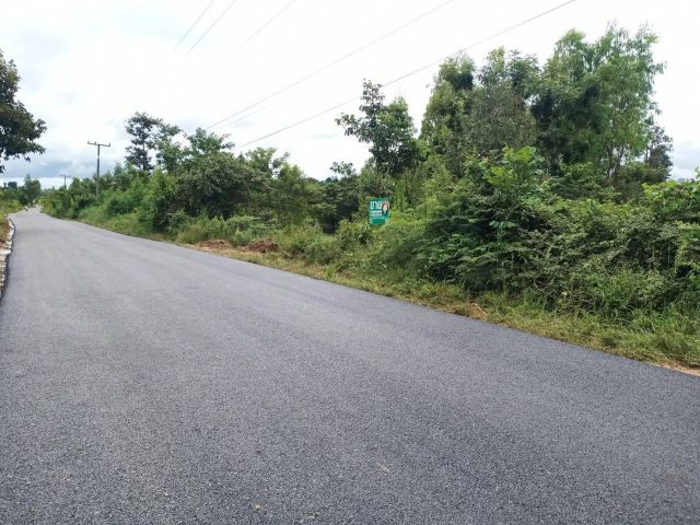 ที่ดินติดถนนลาดยางบ้านหนองลาด/ป่าติ้ว/ยโสธร ราคายกแปลง 500,000 บาท
