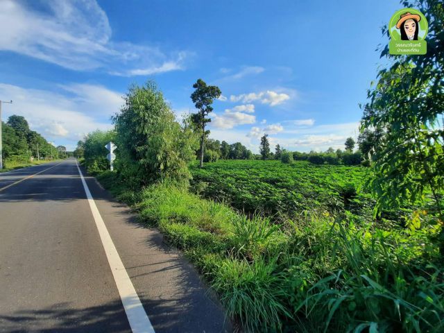 ที่ดินแปลงสวย ต.สิงห์/ ยโสธร  ห่างถนนอรุณประเสริฐ 1 กม.