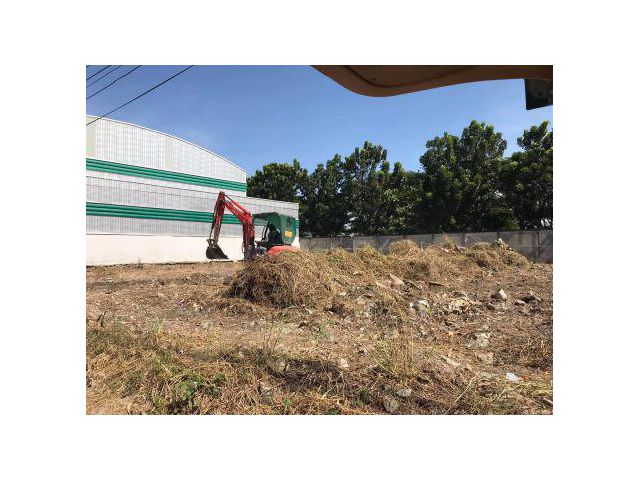 PR287 ให้เช่า ที่ดิน ซอยหลังวัดหนามแดง 323 ตร.วา ถมแล้ว เข้าซอย 30 เมตร เข้าออกสะดวก พื้นที่ดินเป็นสี่เหลี่ยม