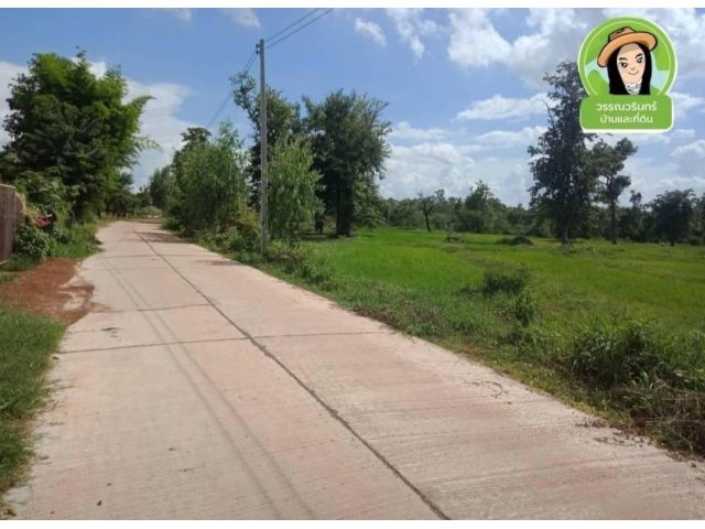 ที่ดินติดถนนคอนกรีต ด้านหลังติดห้วย/ต.กุดชมภู/อ.พิบูล
