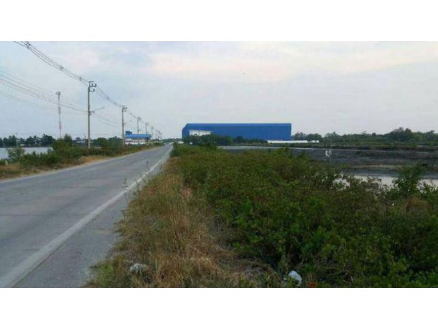 PR288ขายที่ดินเปล่า 44 ไร่กว่า ติดถนนทางหลวงสมุทรปราการ 3040 ต.บ้านคลองสวน อ.พระสมุทรเจดีย์ จ.สมุทรปราการ
