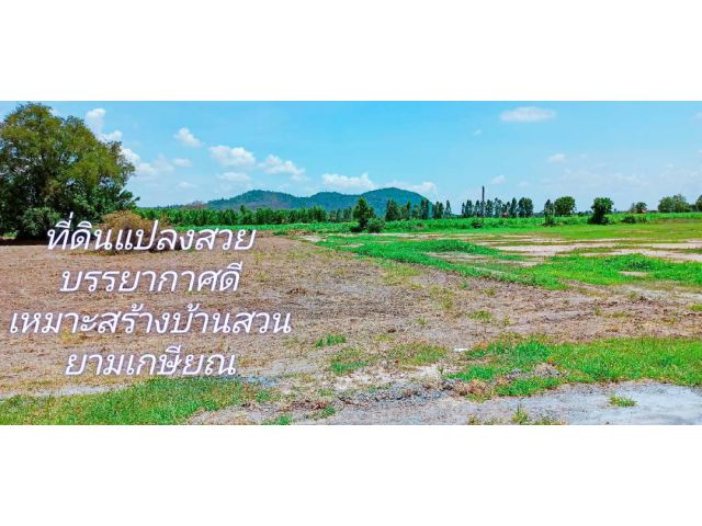 ที่ดิน**วิวเขาสวย อ.อู่ทอง บรรยากาศดีมีเพื่อนบ้านเหมาะสร้างบ้านสวนเกษตรยามเกษียณ
