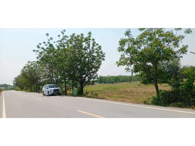ขายที่ดินสวยทำเลดีติดถนนลาดยาง 1 ไร่ เหมาะสร้างบ้านสวน หรือร้านกาแฟริมทุ่งกิจการร้านค้าต่างๆ