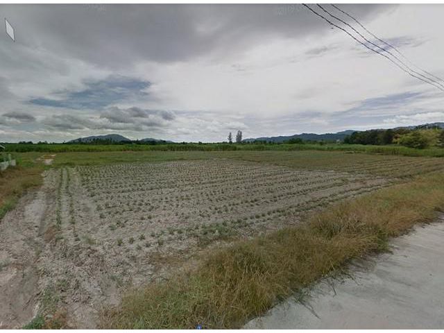ขายที่ดินบ้านบึง ถมแล้ว 100 ตรว. ราคายกแปลง 850,000 บาท ติดถ.คอนกรีต ใกล้ถ.344 - 2 กม. จ.ชลบุรี