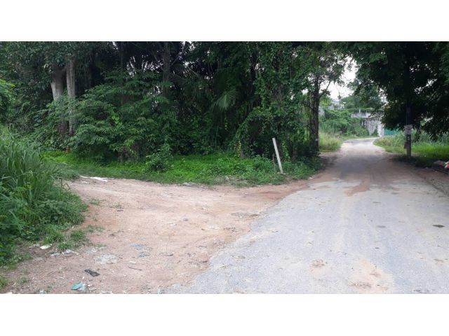 ที่ดิน 300 ตรว.ใกล้สวนเสือศรีราชา 1 กม.หลัง Fitness Lifestyle