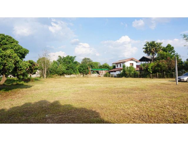 ขายที่ดิน พื้นที่ 400 ตร.วา เหมาะสำหรับปลูกสร้างบ้าน โซนหนองผึ้ง สารภี 1.5 กม.