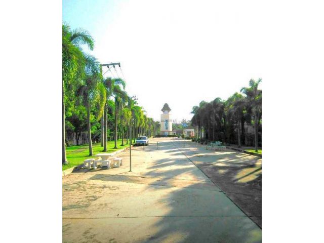 ที่ดินจัดสรร 118 ตรว.โครงการ windmill golf club