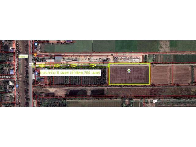 ที่ดินคลอง10 หนองเสือ ปทุม เนื้อที่ 8 ไร่ 31 ตรว.