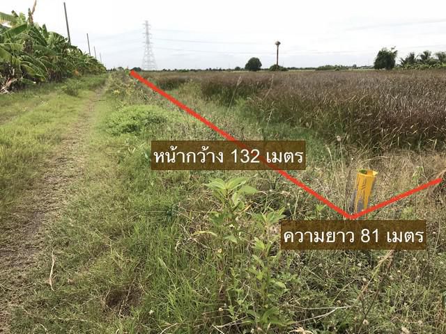 ขาย ที่ดิน ลาดหลุมแก้ว ซอยข้างโรงงานซีพี
