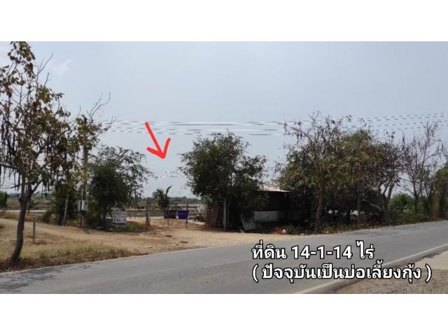 ขายถูก ที่ดิน อำเภอเมือง ฉะเชิงเทรา 14 ไร่เศษ
