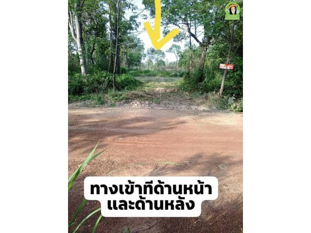 ที่นาโซน สพป.เขต3 อ.พิบูลมังสาหาร/อุบล