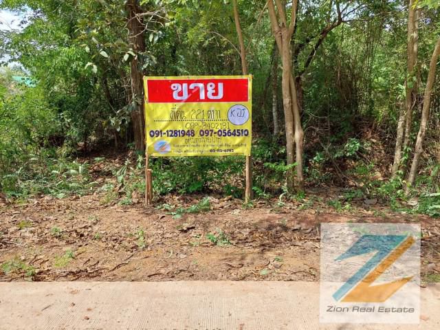 ขายที่ดินสวย 221 ตร.วา ติดหนองกอมเกาะ อ.เมือ จ.หนองคาย