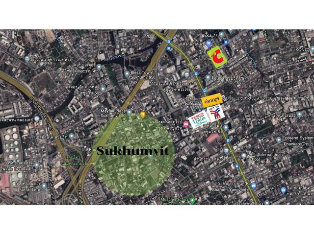 ขายบ้านและที่ดิน สุขุมวิท ซ.50 ใกล้ BTS อ่อนนุช