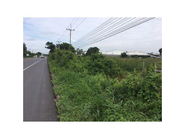 ขายที่ดินแปลงสวย ติดถนนบางเลน-ดอนตูม นครปฐม