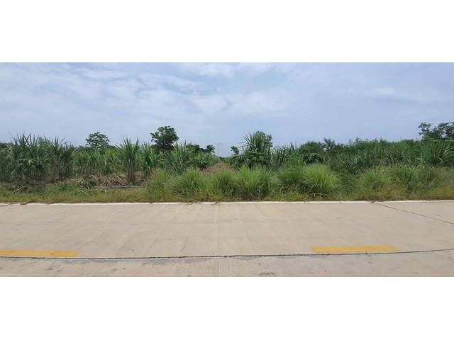 ที่ดิน คลองห้า คลองหลวง ปทุม ที่ดินทำเลทอง