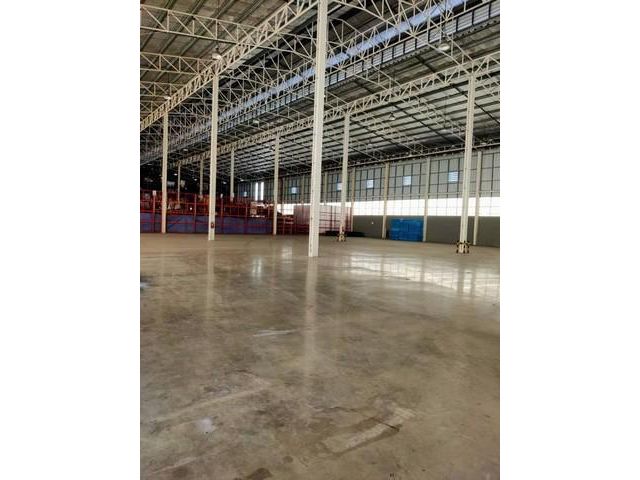 ให้เช่าโกดังย่านประชาชื่น บางซื่อ พื้นที่1,800 ตร.ม อยู่ใกล้ รพ.เกษมราษฎร์ประชาชื่น จุดขึ้นลงทางด่วน