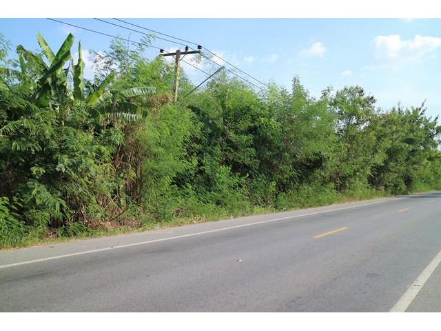 ขายที่ดิน ลำลูกกาคลอง 13  ปทุมธานี