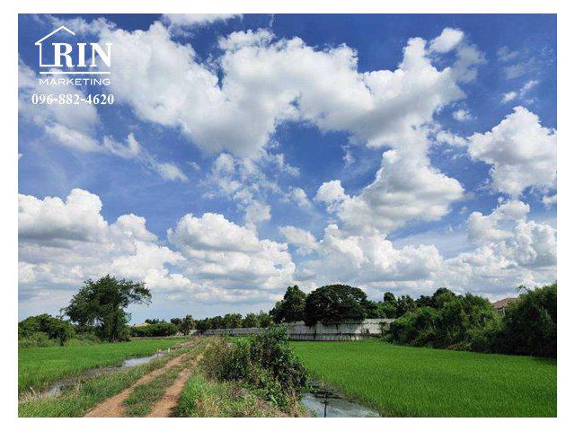 S1180ขายที่ดิน อ.ตลิ่งชัน จ.กรุงเทพมหานคร คุณเอ็ม 097-414-6165