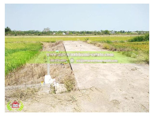 ขาย ที่ดิน 200 ตารางวา ลำลูกกา ปทุมธานี