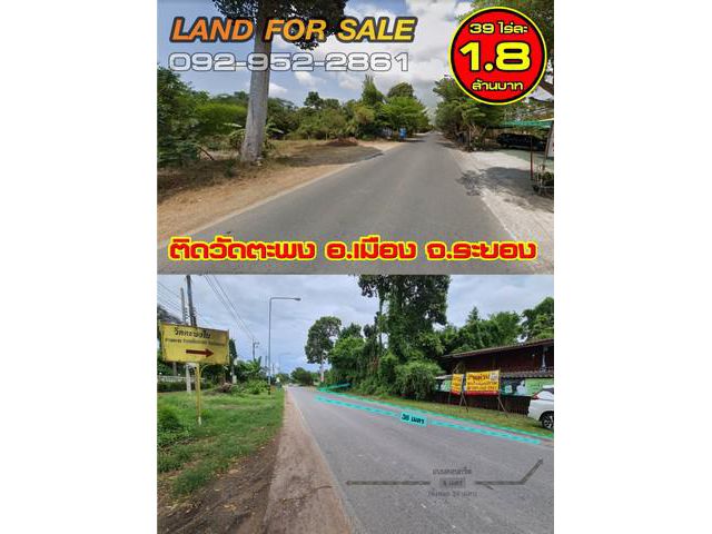 ขายที่ดิน ติดวัดตะพง อ.เมืองระยอง