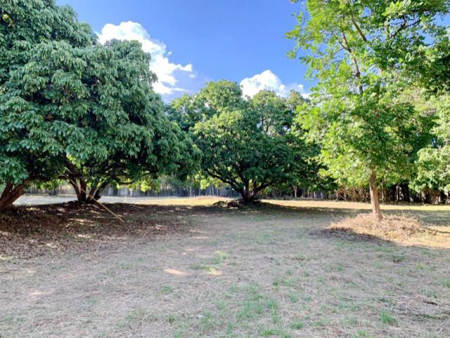 ขายที่ดิน ต.น้ำแพร่ อ.หางดง, ที่ดิน 2 ไร่ 259 ตร.วา.