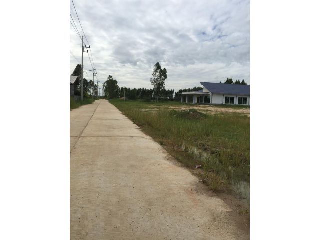 ขายบ้านเดี่ยวแปลงใหญ่ พนักนิคม