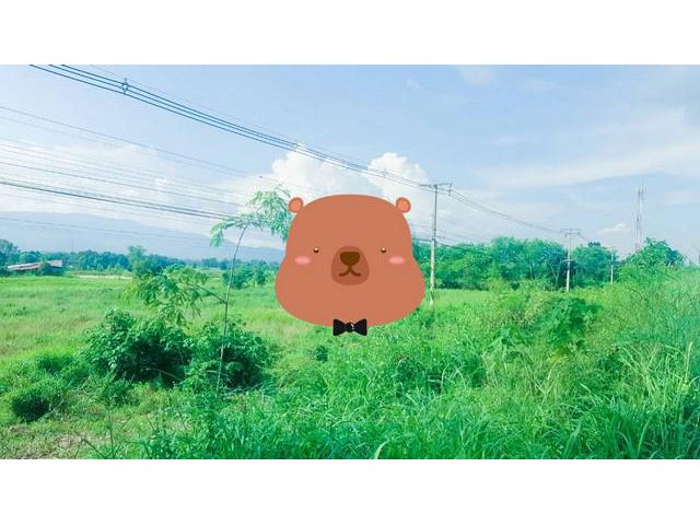 ลดกระหน่ำเหตุโควิด ติดถนนเอเซีย ถ.พหลโยธิน