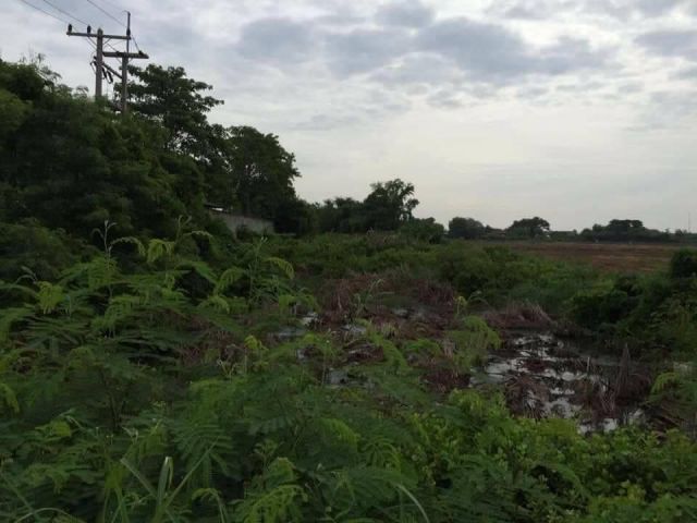 ขายที่ดินบ้านโพธิ์ 4 ไร่ ติดถนนลาดยาง ใกล้ถ.เส้นสิริโสธร(314) - 1 กม. จ.ฉะเชิงเทรา