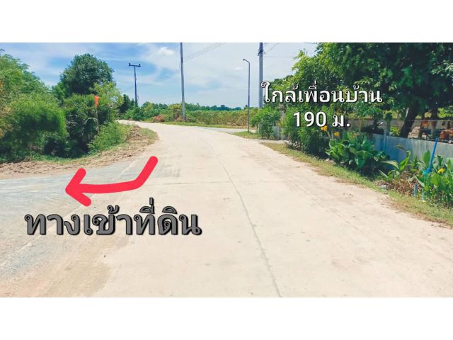 ขายที่ดินสวย จ.สุพรรณ (สด-ผ่อน) บรรยากาศดีทำเลดี เหมาะสร้างบ้านสวนยามเกษียณ
