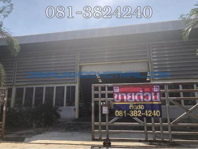 โรงงานธนสิทธิ์ บางพลี จ.สมุทรปราการ 4-2-24 ไร่