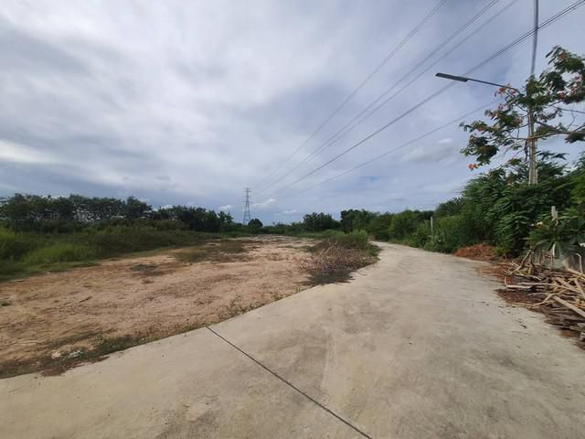 ขายที่ดินพานทอง 72 ตรว. ถมแล้วใกล้นิคมอมตะชลบุรี ติดถ.ซอยบางนาง 14 ใกล้ถ. มอเตอร์เวย์ 7 - 11 กม. จ. ชลบุรี