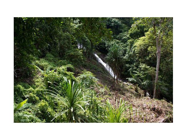 ขายที่ดิน กมลา 22 ไร่  ตำบลกมลา อำเภอ กะทู้ ภูเก็ต Land For Sale 22 Rai, Kamala Market, Phuket.