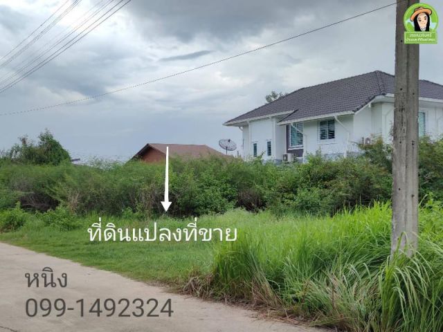 ที่ดินสร้างบ้าน ใกล้หมู่บ้านวังทองกรีน/ใกล้ตลาดเจริญศรี