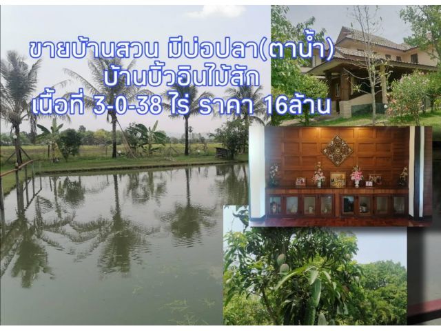 ขายบ้านสันกำแพง บ้านสวน มีบ่อปลา(มีตาน้ำ)​ วิวนา วิวเขา เนื้อที่ 3-0-38 ไร่ ราคา 16 ล้าน