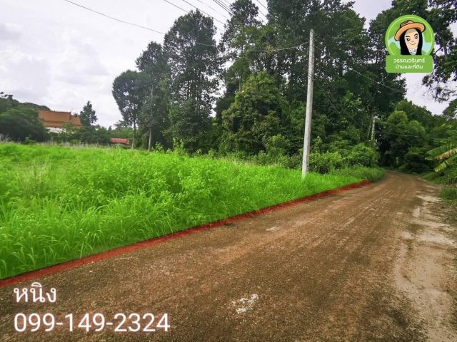 ที่ดิน 3 ไร่เศษ บ้านแฮ/ วารินชำราบ