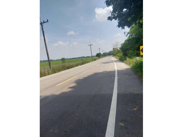 ขายที่ดินจัดสรร วังดาล ติดถนน
