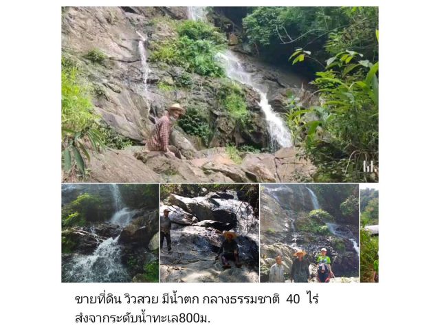 ขายที่ดิน วิวสวย มีน้ำตก กลางธรรมชาติ  40  ไร่ สํงจากระดับน้ำทะเล800ม. เอกสาร สค1.จำนวน26ไร่ ยื่นออกโฉนดได้ นี่ผาน้ำตก